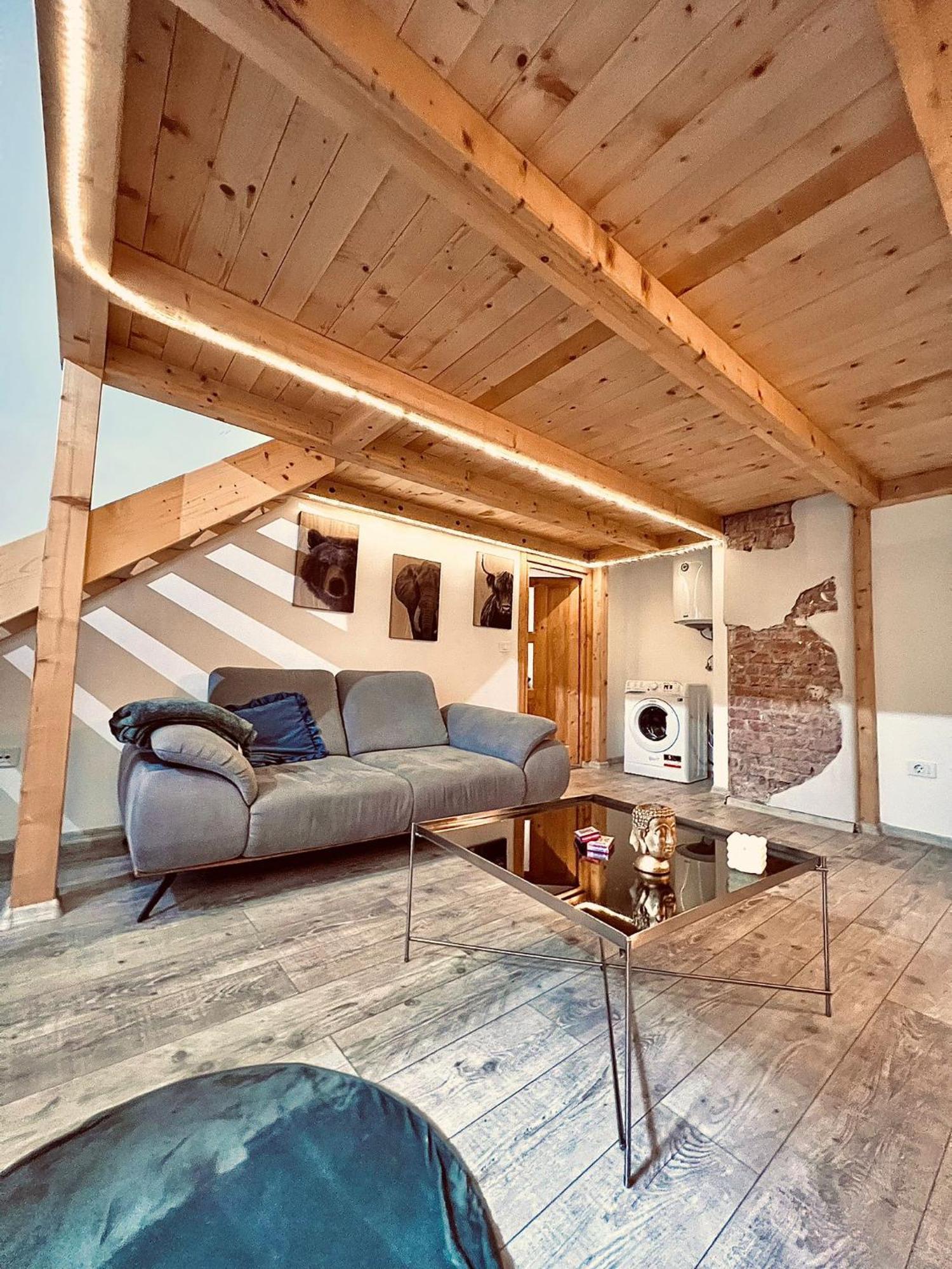 Central Cluj Apartament Екстер'єр фото